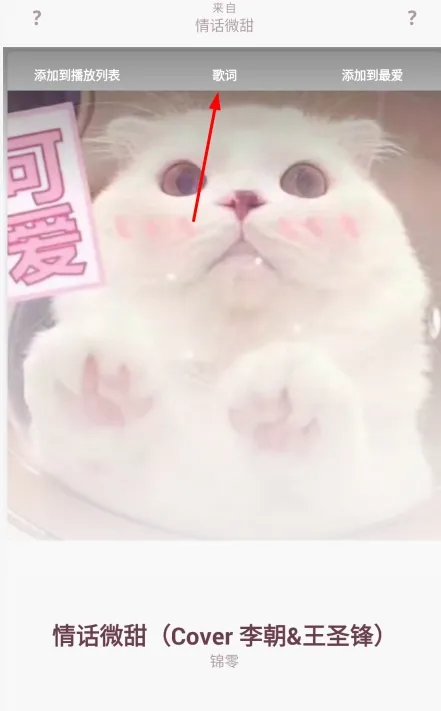 BlackPlayer EX汉化版