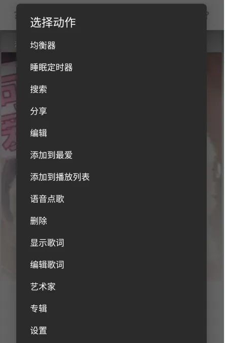 BlackPlayer EX汉化版