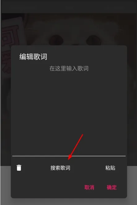 BlackPlayer EX汉化版