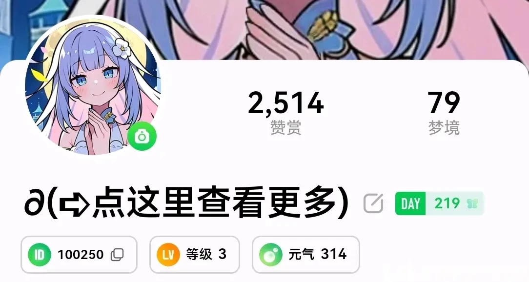 flai专业版