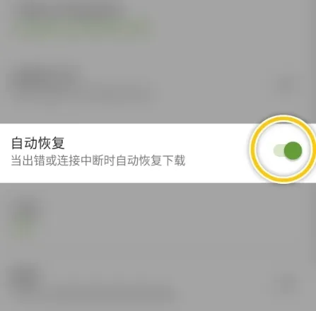 Advanced Download Manager