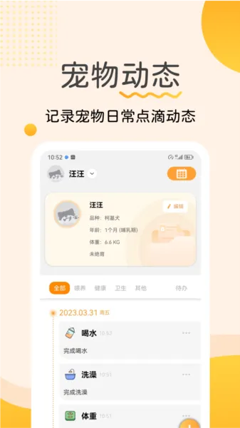 宠物记