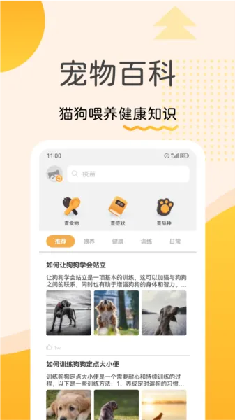 宠物记