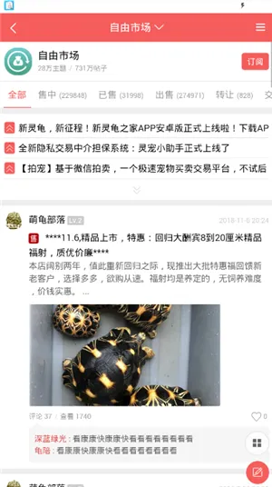 灵龟之家