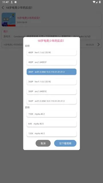 BVD下载器