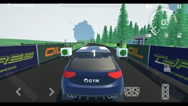 N3拉力赛汉化版
