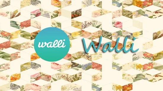 Walli(NT汉化版)