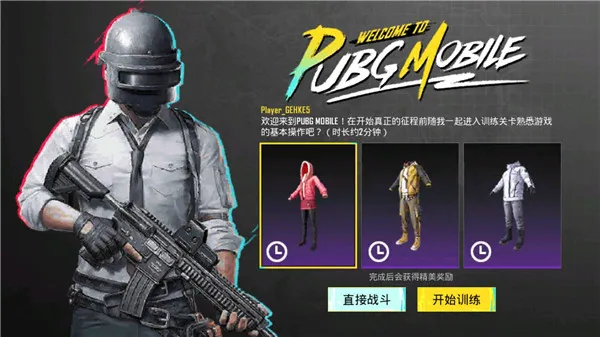 pubgmobile国际服正版