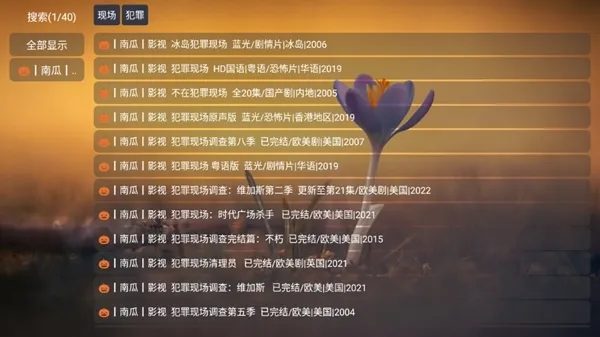 TVBox进恩哥版