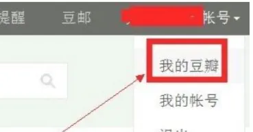 豆瓣去广告修改版