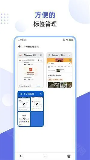 lemur browser