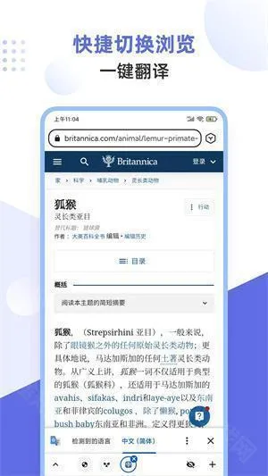 lemur browser