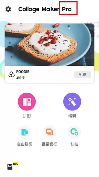 Collage Maker pro破解版