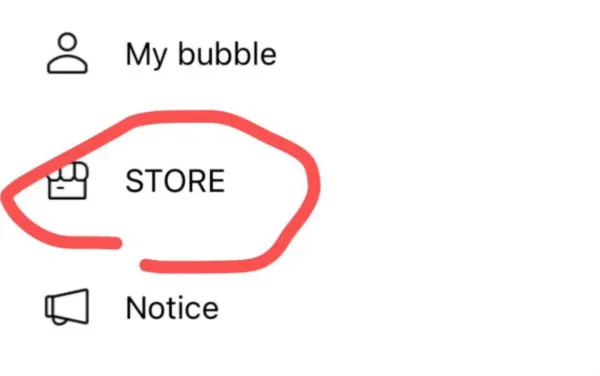 STARSHIP bubble