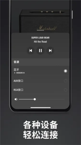 Marshall Bluetooth app