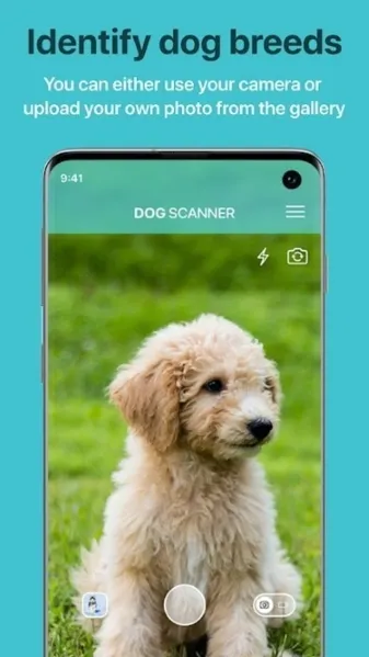 狗狗鉴定器