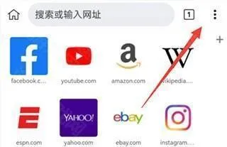 Kiwi Browser浏览器