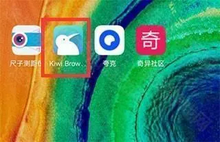 Kiwi Browser浏览器