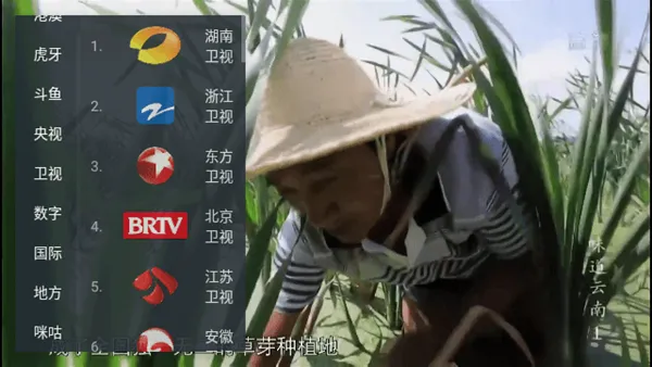 SimpleTV电视直播