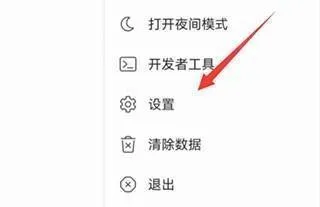 Kiwi Browser浏览器