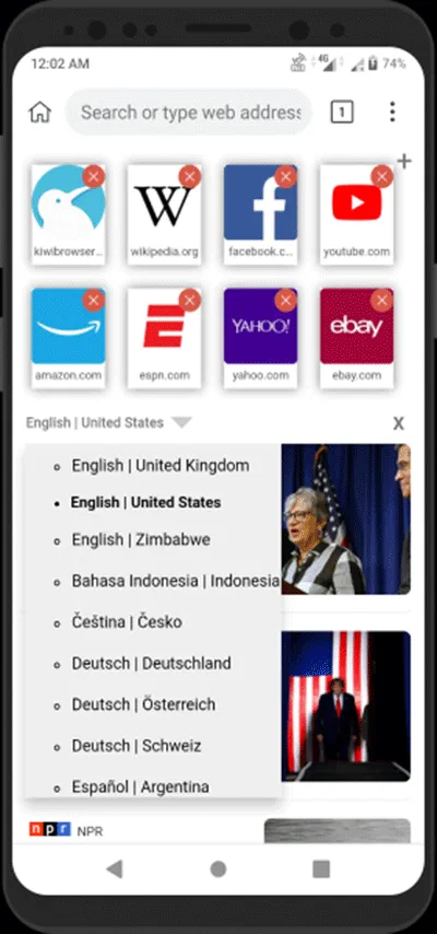Kiwi Browser浏览器