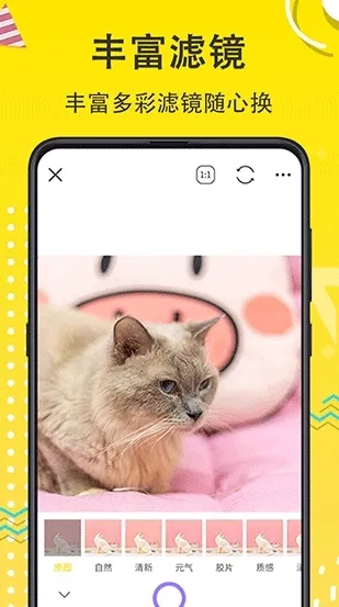宠物相机app