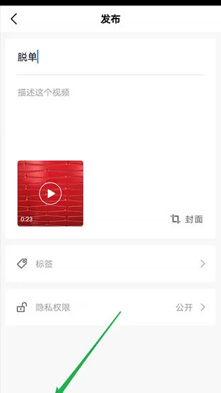 vn剪辑软件中文版