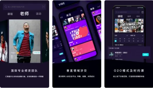 VIBESIX