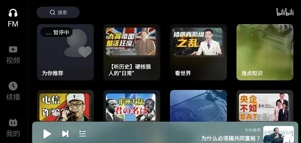 哔哩哔哩车载版