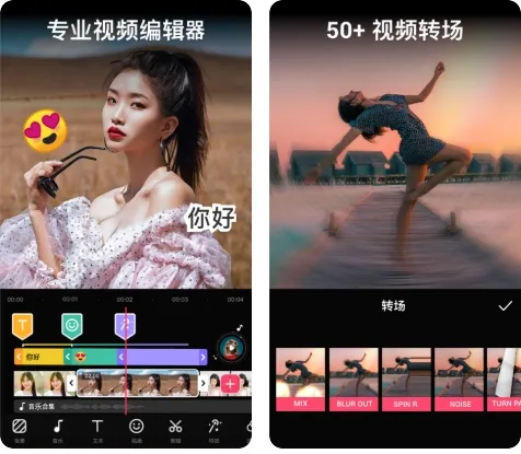 VideoGuru高级专业版