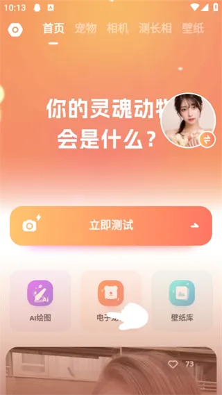 灵魂宠物