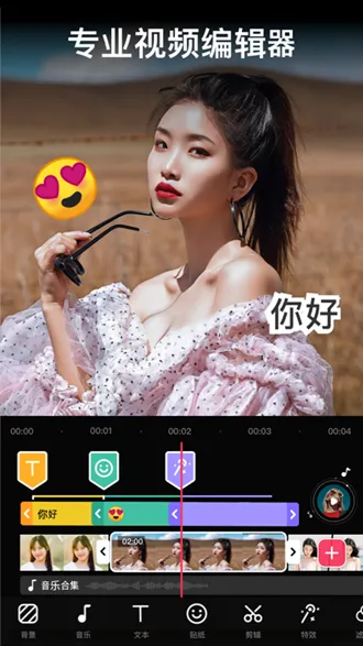 VideoGuru高级专业版