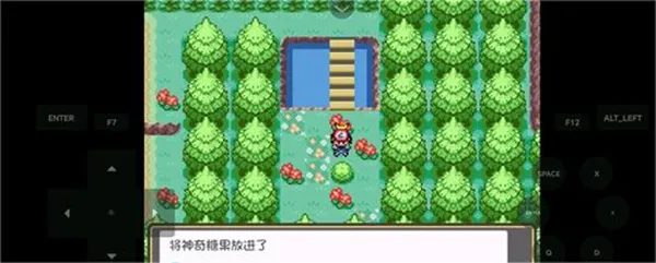 口袋妖怪燃之智3.4汉化版