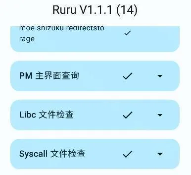 ruru检测器v1.1