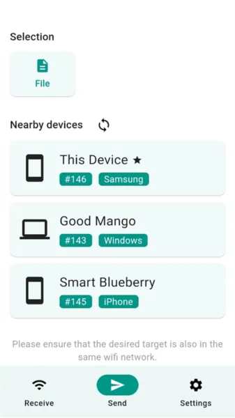 LocalSend app