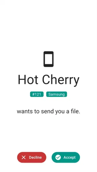 LocalSend app