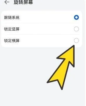 波波浏览器蓝色版