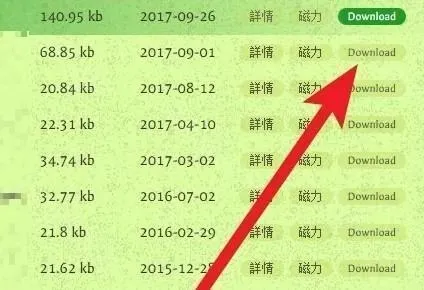 磁力猫torrent kitty