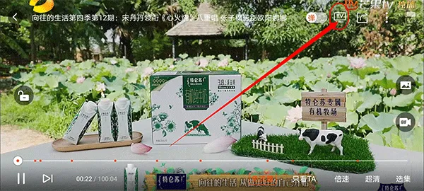 Bind情侣定位