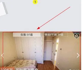 大房鸭