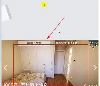 大房鸭