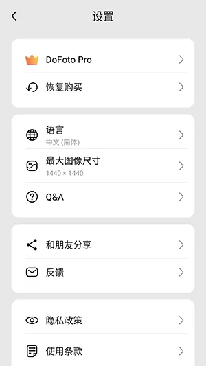DoFoto高级版