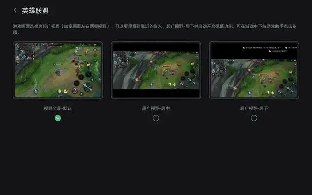 拯救者领域