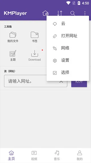 KMPlayer Pro专业版