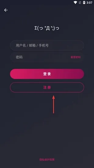 次元壁纸高级版