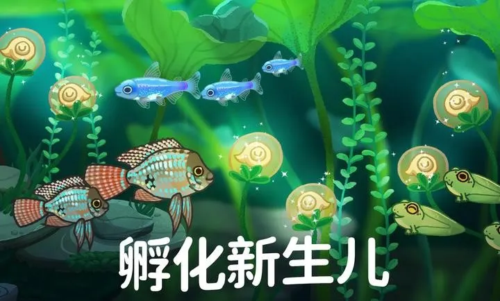 池趣