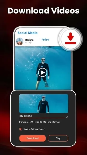 LM videodownloader
