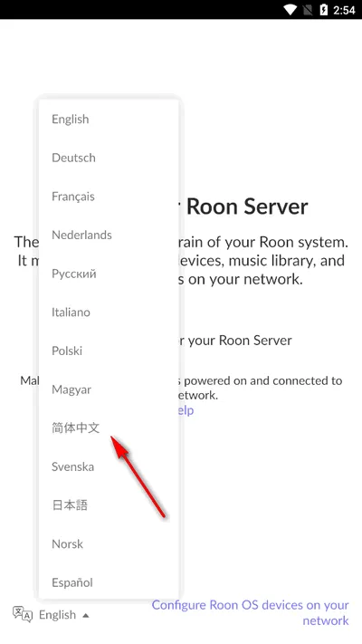 Roon音乐播放器