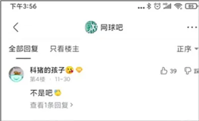 百度贴吧纯净版