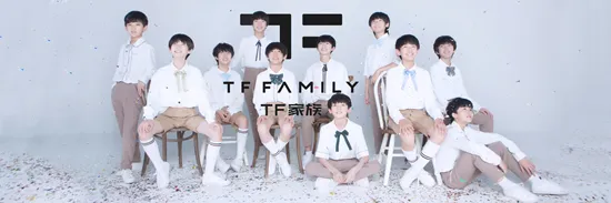 tf家族
